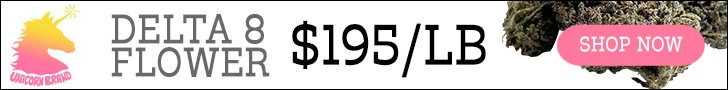spot_img